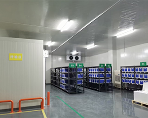 藥企公司建造低溫醫(yī)藥冷庫的方案和預(yù)算?