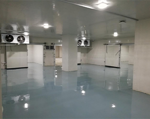藥企公司建造低溫醫(yī)藥冷庫的方案和預(yù)算?
