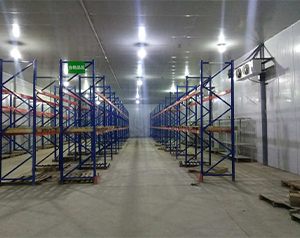 生物公司建造200平2-8℃醫(yī)藥冷庫(kù)建造費(fèi)用?