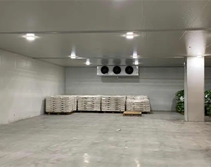 城市周邊建造一個(gè)8800平生鮮電商冷庫設(shè)計(jì)安裝費(fèi)用?