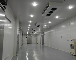 醫(yī)藥冷庫建造這些您了解嗎?藥品冷庫建設(shè)多少錢