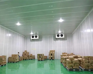 安裝10000m³生鮮物流冷藏庫(kù)(低溫倉(cāng)庫(kù))建設(shè)廠家收費(fèi)標(biāo)準(zhǔn)