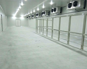 裝100噸凍貨冷庫(kù)需要建多大平米,建一個(gè)多少錢(qián)