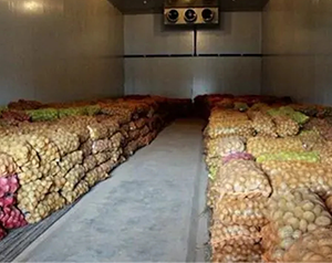 建造 1000噸食品加工冷庫(kù)大概需要多少錢?